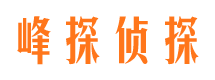 漳县市调查公司